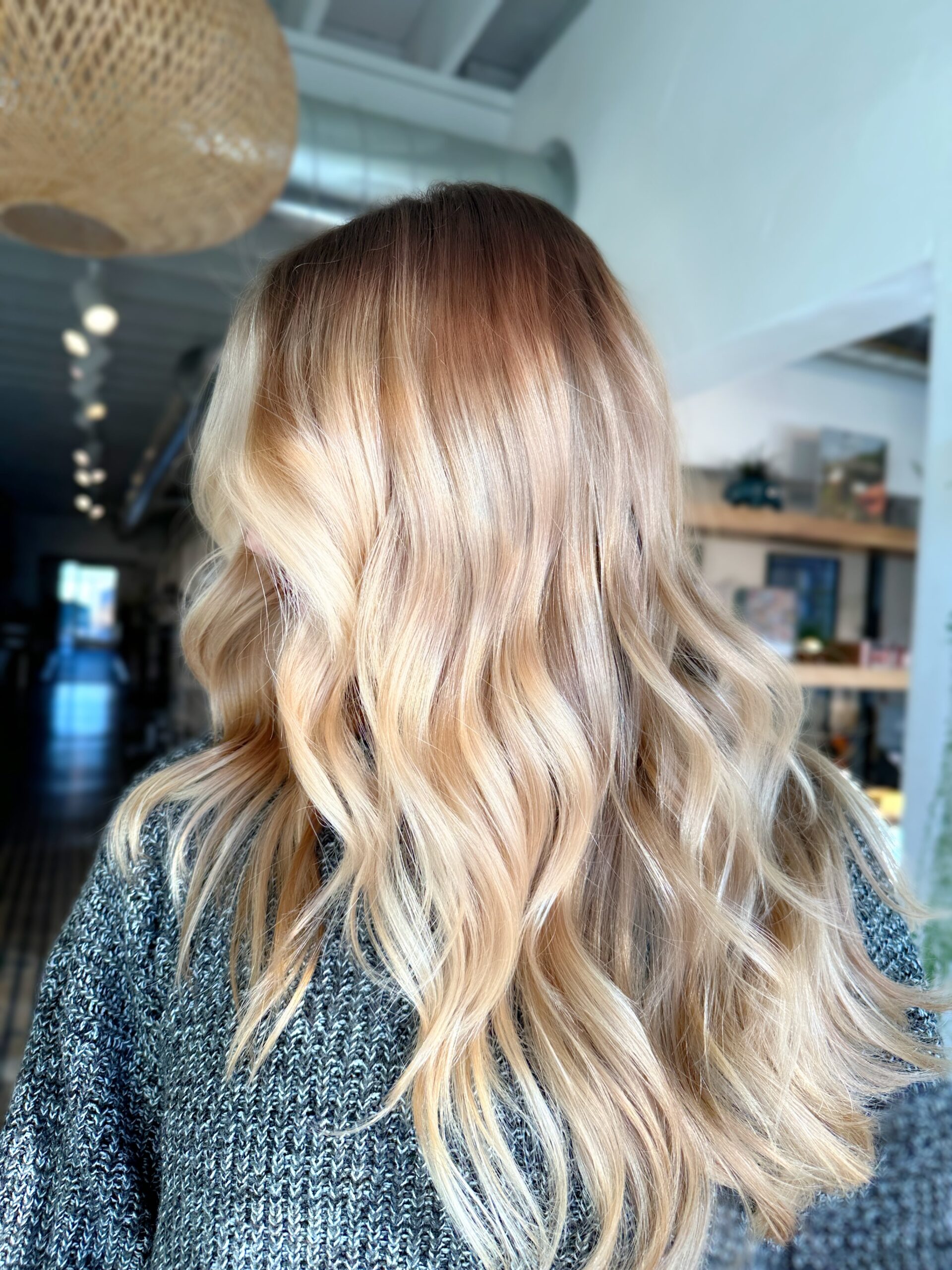 The Palette DavinesPro