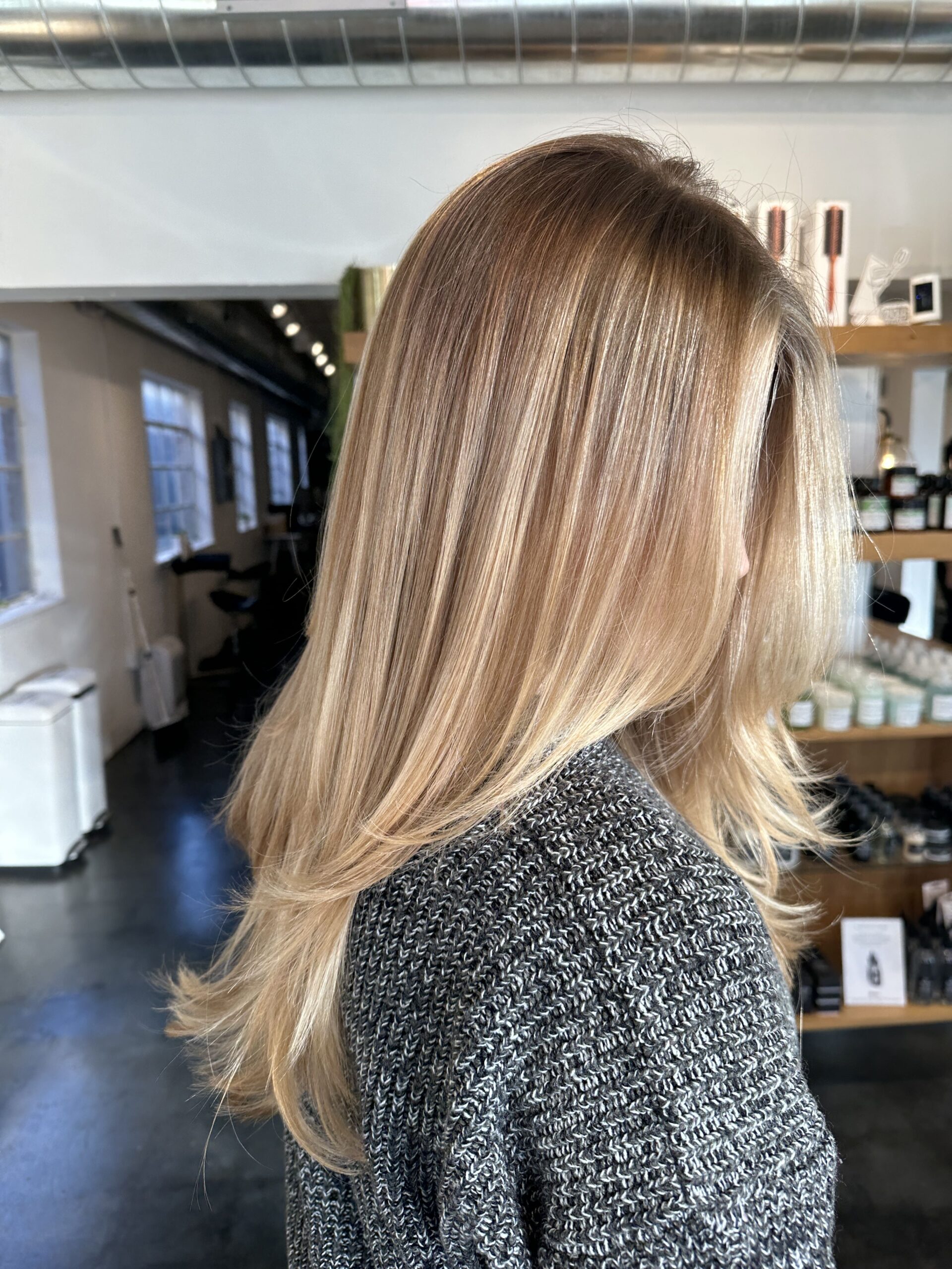 The Palette DavinesPro